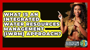 What Is An Integrated Water Resources Management (IWRM) Approach? - Ecosystem Essentials