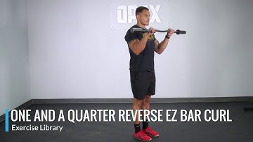 One and a Quarter Reverse EZ Bar Curl - OPEX Exercise Library