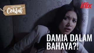 Damia dalam bahaya!? | Cinta Koko Coklat | EP33-36 | Percuma di iflix
