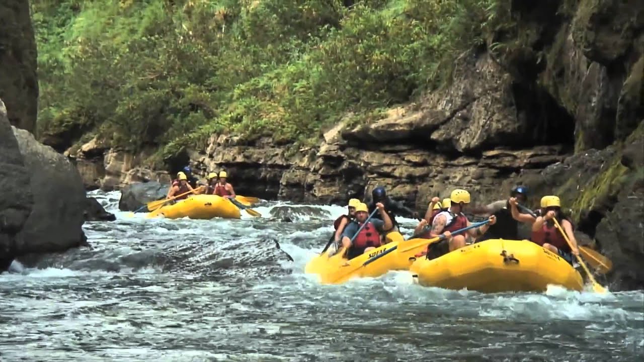 river safari navua