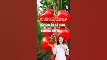 10 Tác Dụng Tuyệt Vời Khi Ăn Cà Chua Thường Xuyên #dsdaiminh #dinhduong #shorts #health