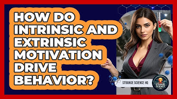 How Do Intrinsic And Extrinsic Motivation Drive Behavior? - Strange Science HQ