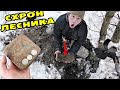 НАШЛИ СХРОН ЛЕСНИКА под СОСНОЙ! КОРОБКА СЕРЕБРЯНИКОВ, БОГАТАЯ НАХОДКА! Коп с RUTUS ALTER 71.