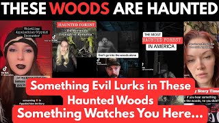 Creepy Stories From Haunted Woods That Will Keep You Up At Night