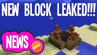MINECRAFT 1.9: New Block Leaked! @NiclasBlocko