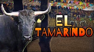 El Tamarindo - Rancho Santa María de Chocholá en Oxkutzcab 2022