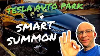 tesla auto park and smart summon in 2022 with fsd beta v10.69.3.1 - good or bad?