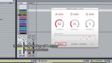 HoRNet SongKey, realtime key detector