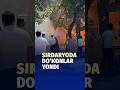 29-iyul kuni Sirdaryo tumanidagi 3 ta do‘kon yong‘indan zarar ko‘rdi