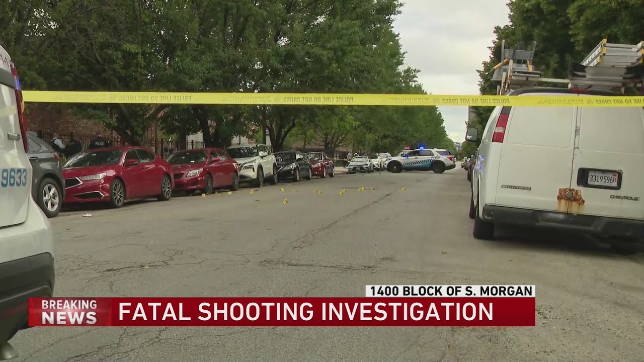 Man found shot to death near University of Illinois Chicago campus ...