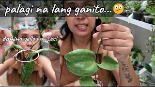 PLANTS HAUL NA HINDI AKO MASAYA!