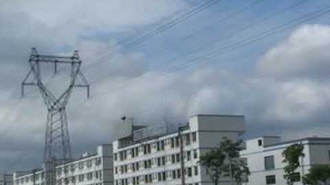 RC711.com: ESky Honey Bee CP3 (002437) Official Demo Video