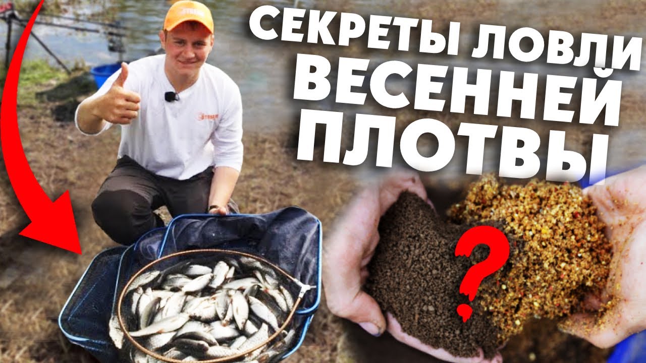 Рыбалка в апреле: как поймать плотву на малых реках?