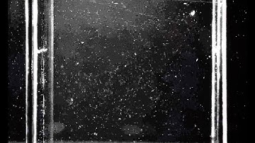 Particle tracking in 2D Lid driven cavity