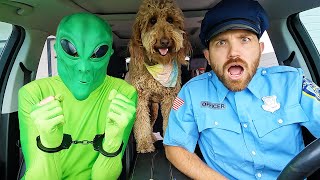 Police Surprises Puppy With Car Ride Chase!