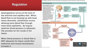 Cardiac Output and Its Regulation