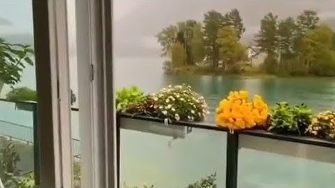 🌻عبيدة موفق سورة الفاتحة و الزمر 🌸#تلاوة#YouTube#القرآن_الكريم#حالات_واتساب