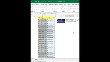 Excel al Instante: Aprende a Sumar Criterios por Separados a través de la Función CONTAR.SI.  #excel