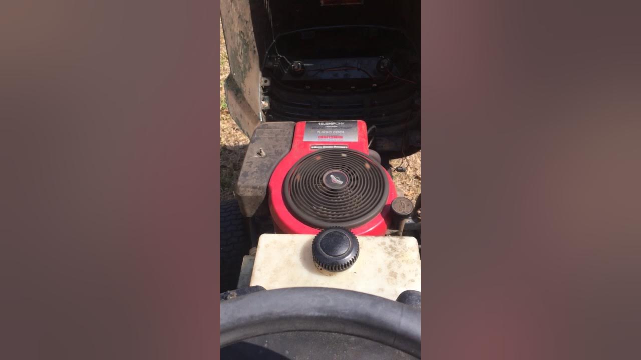 briggs and stratton runs for a few minutes then dies. Help please