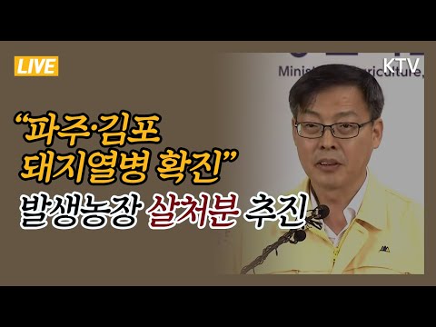 &amp;quot;파주·김포 모든 돼지 살처분&amp;quot; 아프리카돼지열병 특단 조치 시행 농림축산식품부 브리핑