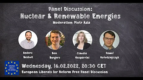 Nuclear and renewable energies: Discussion  Panel ...
