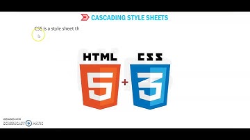 class 8 Ch- 7 HTML Part-2