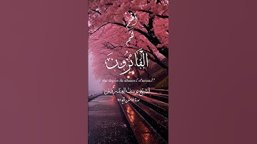 إني جزيتهم اليوم بما صبرو للقارئ يوسف العيدروس مترجم جودة عالية #يوسف_العيدروس #قرآن #السعودية