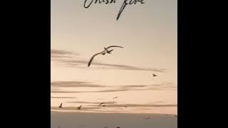 Sierra Eagleson - Brush Fire