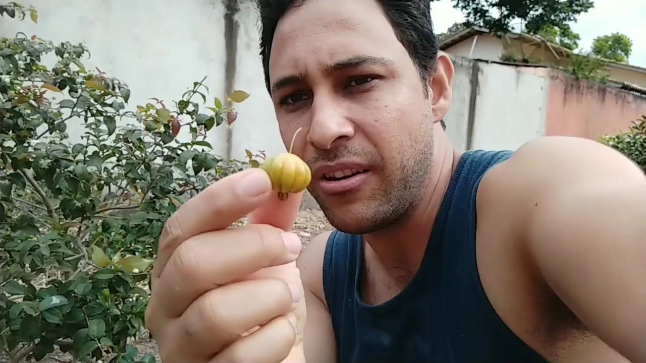ozônio life SÉRIE HORTA E AGROFLORESTA - Ep. 04 - RECADO PARA CANAL CIÊNCIA DE VERDADE