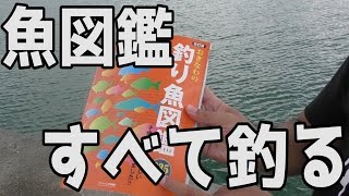 【新企画】釣り図鑑の魚すべて釣る！ 【魚図鑑を埋めろ１話】