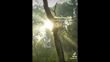 سورة النساء [الآيه :17]