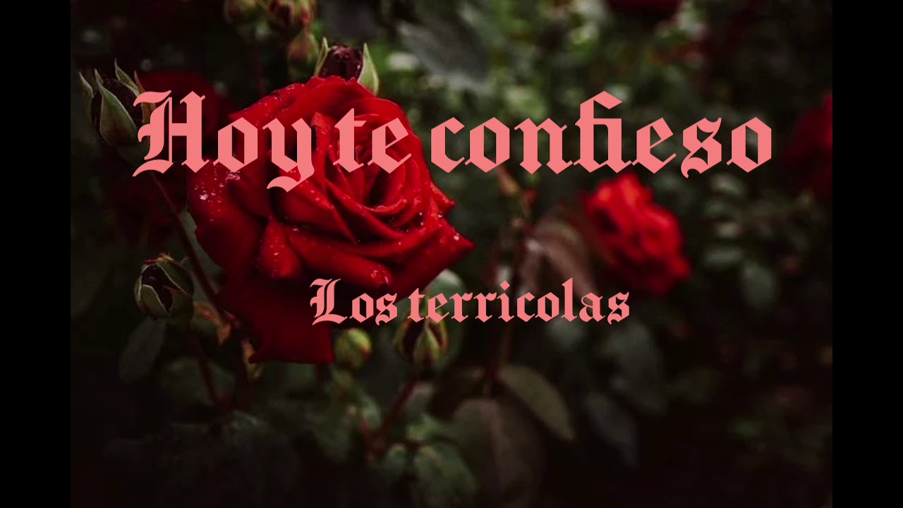 HOY TE CONFIESO Los Terricolas(con letra) - YouTube