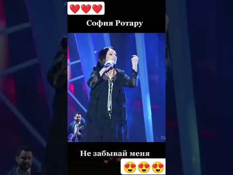 София Ротару на песне года 2016. 'Не забывай меня' Любительская съëмка