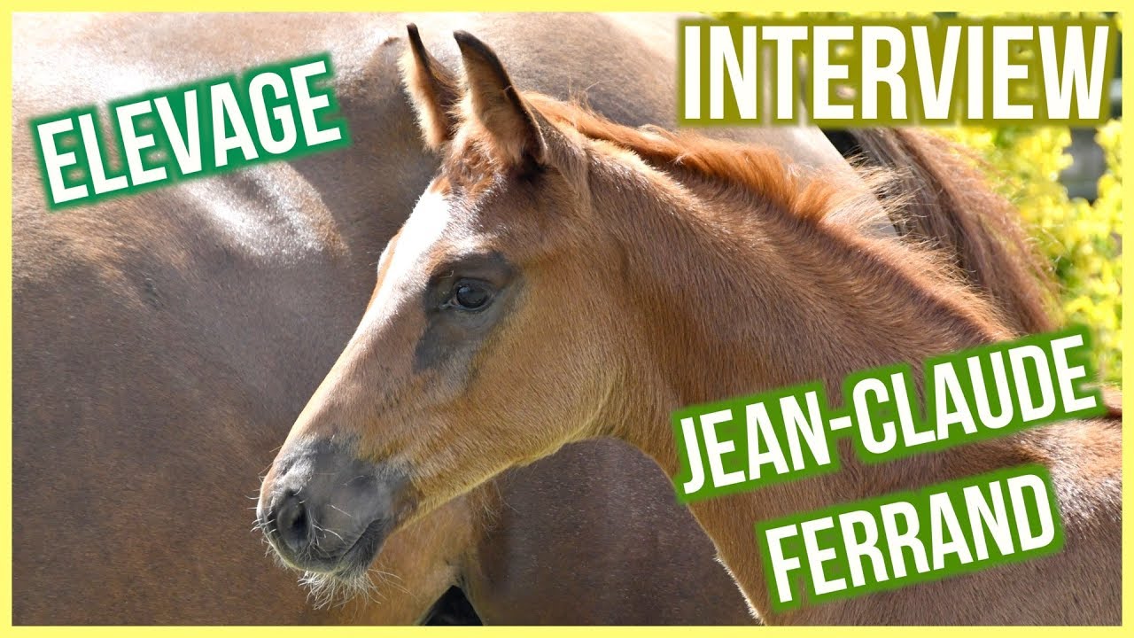 Rencontre avec #3 un éleveur de chevaux de sport