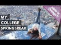 I Traveled Alone to Chicago for Spring Break! | Vlog