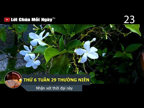 THỨ 6 TUẦN