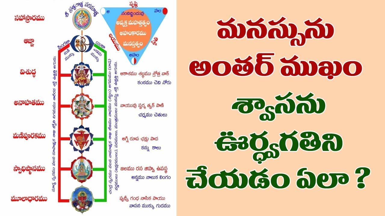 మనసును అంతర్ ముఖం, శ్వాసను ఉద్వాగతిని చేయడం ఎలా ?