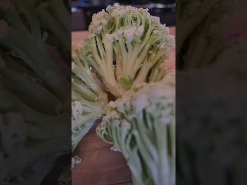 Alien cauliflower? Nah,