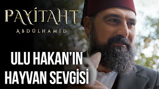 Abdülhamid Han'ın Hayvan Sevgisi I Payitaht Abdülhamid 123. Bölüm