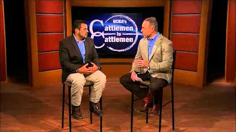 Why BQA Certification is Important For Cattle Producers