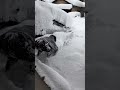 初めてのダイブです