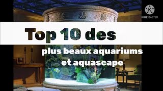 Top 10 des plus beaux aquariums et aquascape!