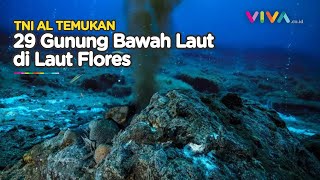 TNI Temukan Puluhan Gunung di Bawah Laut Flores, Ada yang Aktif