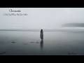 Chromantis I Need You (Where Did You Go) EXT#atmospheric #liquiddnb #music #chill#drumandbass#vibes