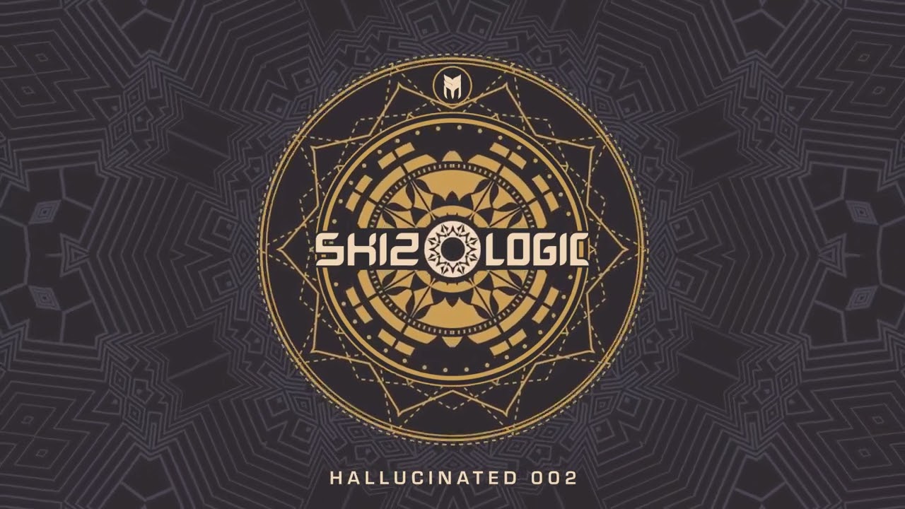 Skizologic & Tsuyoshi Suzuki - Boom Eternity