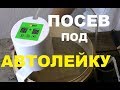 ЛЕТНИЕ ОГУРЦЫ под АВТОЛЕЙКУ от ДАДЖЕТ