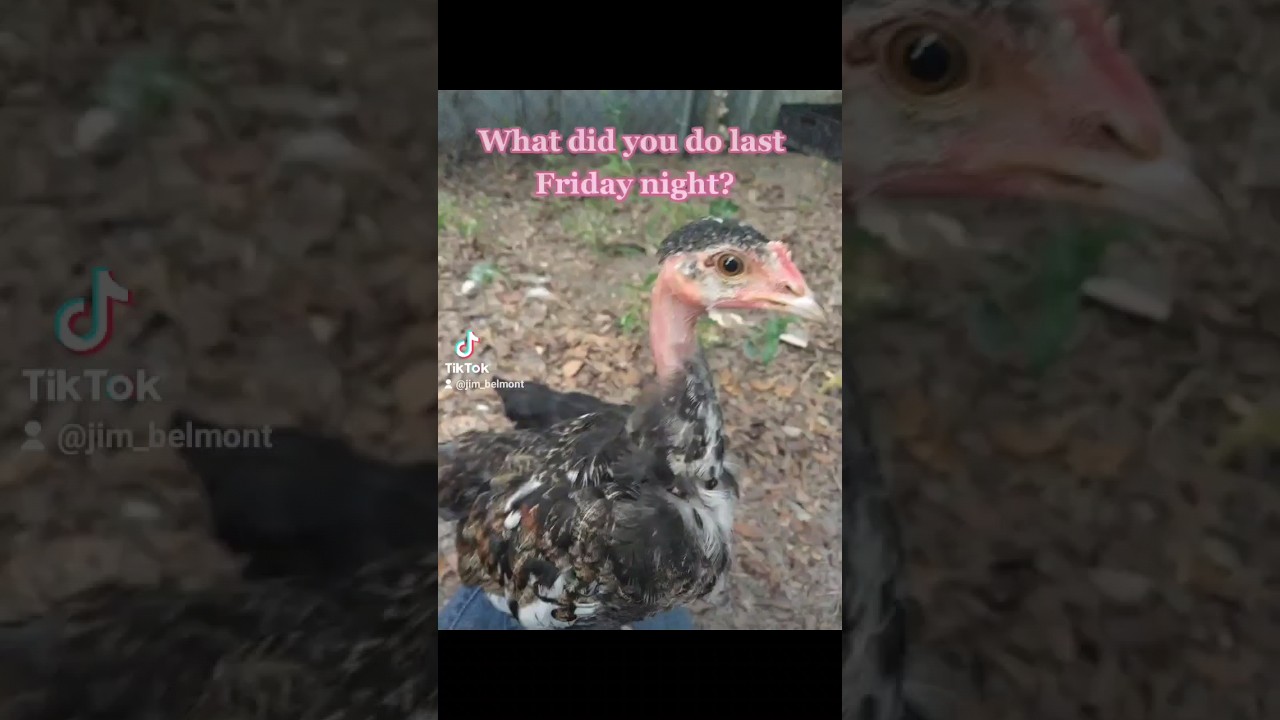 Friday nights be like 🎉 