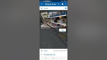 6.26.22 Shop & Scan EXPOSES Meijer Shell Game 🍵🍵🍵🐕 INFLATED for FAKE SALE