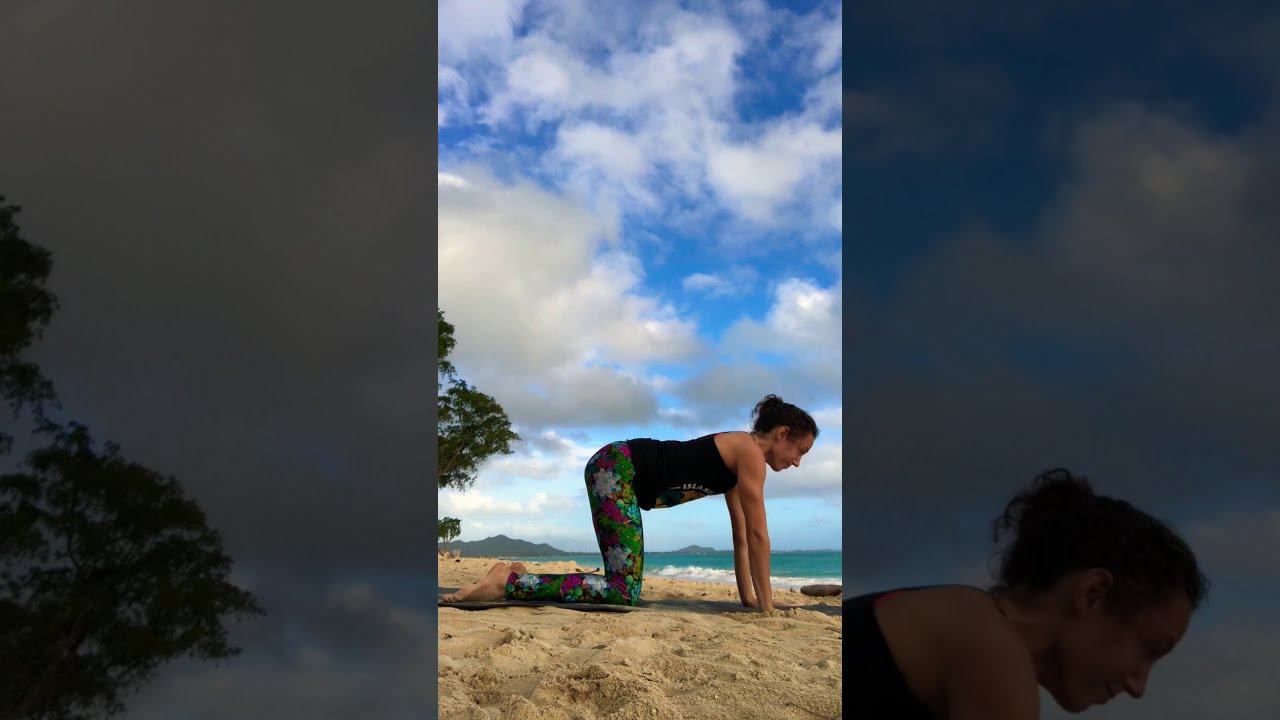 Cat Cow Yoga Warmup for Your Spine & Core YouTube