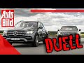 Duell hinter'm Deich: VW Touareg vs. Mercedes GLE (2019) - Auto - Test - Vergleich - Infos - Details